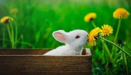 AIYOUXI.COM-高校篮球推广体能恢复课程延长运动员竞技寿命，高校篮球现状