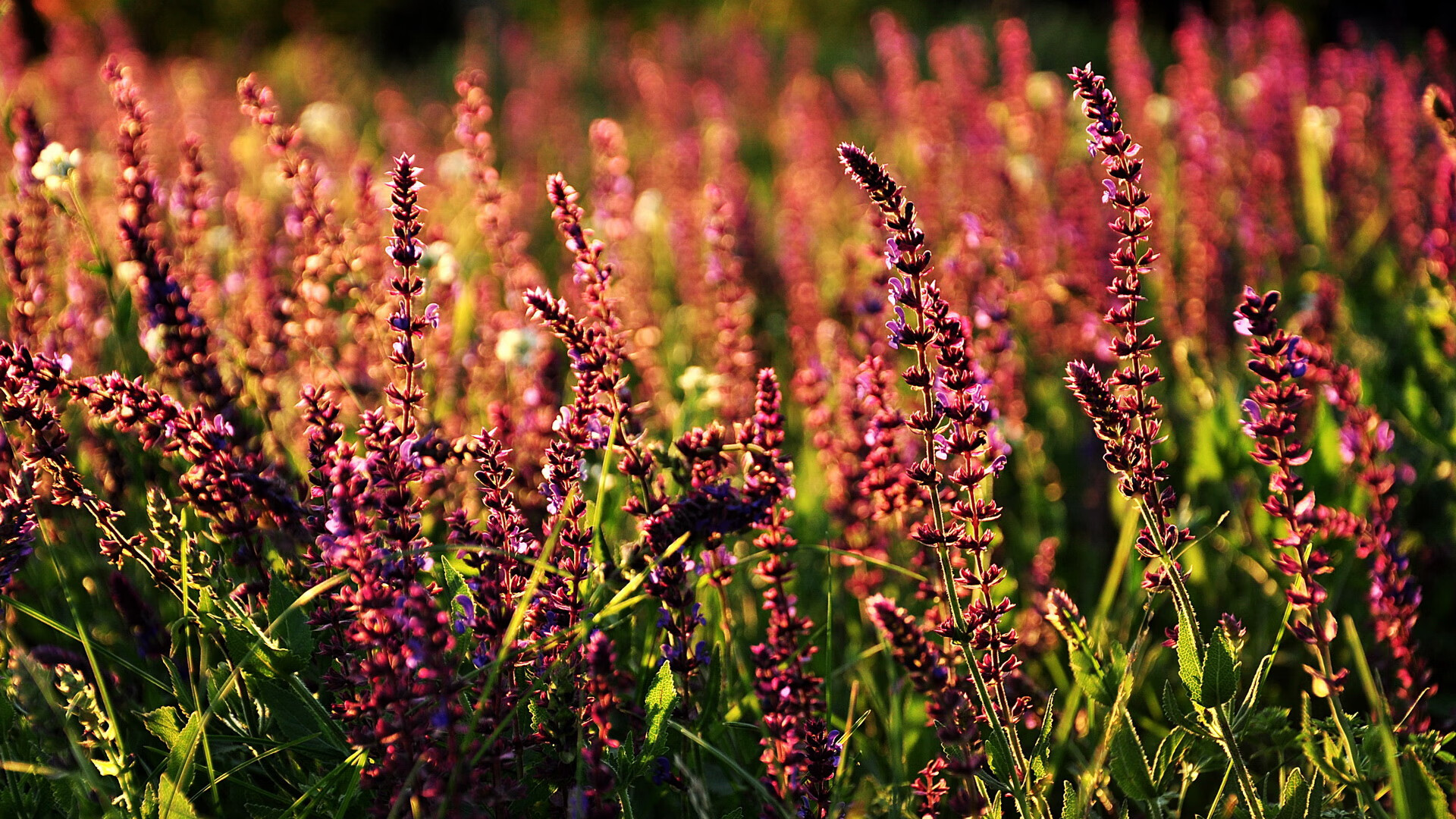 爱游戏官方网站-“青春奋起”青少年篮球公益主题电影在全国热映，弘扬拼搏精神